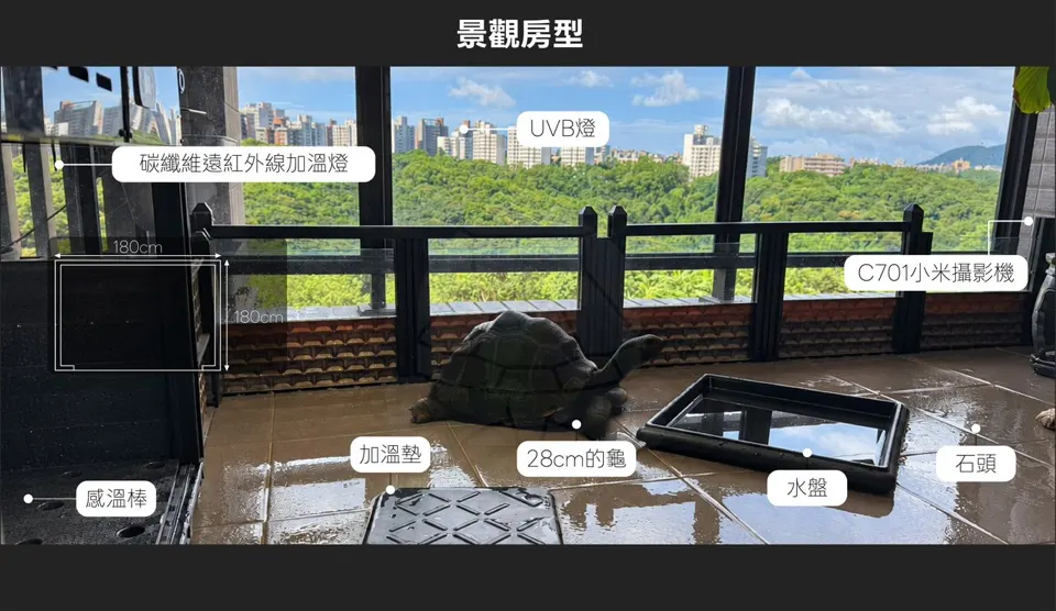 景觀房型，含加溫燈、UVB 燈與攝影機